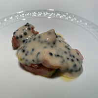 フォリオリーナ・デッラ・ポルタ・フォルトゥーナ - 