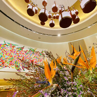 スガラボヴィー - 