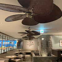 COLONIAL BEACH 横浜ハンマーヘッド - 