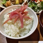 繭蔵 - "みょうがごはん"