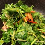 Raofu Tsui - 香菜のサラダ北京"老虎菜"