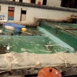 天草地魚料理 いけすやまもと - やまもと　いけす