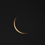 Saba Tenshin Sunaba Sousen - 東雲（しのゝめ）の月（つき）、 舊暦（むかしのこよみ）十一月二十九日（しもつきにじふくにち）=2022-01-01　※ピンボケ御免