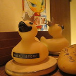 アヒルストア - アヒル近影♡