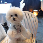 エビスエスクラッシコ - Merry Christmas!! 