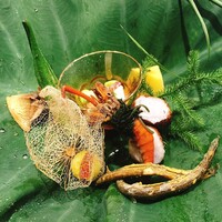 草喰 なかひがし - 