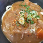 はなまるうどん - カレーうどん、アップ
