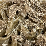 A e B - 焦がし小麦のパスタ