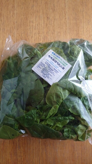 JAグリーン みやぎ登米 - 登米市その他（その他）の写真