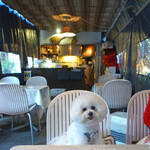 エビスエスクラッシコ - GRAZIE!!