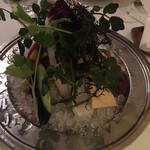 カーザ ヴィニタリア - 