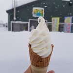 マッカリズム - 