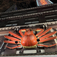 札幌かに本家 名古屋駅前店 - 