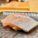 鮨 とかみ - 2021.12.  春子鯛