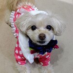 鮨旬美西川 - よろちく♥️