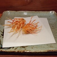 天冨良 よこ田 - 