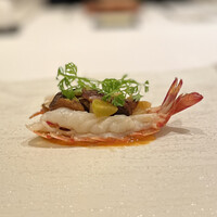 カンテサンス - 車海老 銀杏と島らっきょ