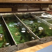 稚加榮 本店 - 