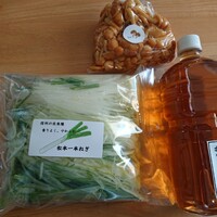 柚木元 - 松本一本ねぎ、なめこ、合わせ出汁