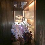 神楽坂 石かわ - 