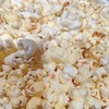 TOHOシネマズ - 料理写真: