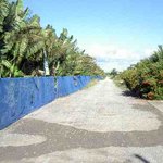 とうふの比嘉 - 