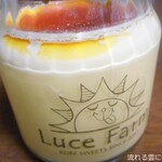 LUCE FARM - 太陽のプリン