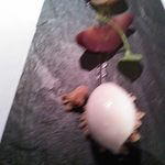 モトイ - ブルダルーとのコンパレゾン