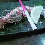 こーちゃん - 2012年12月 海老の塩焼き