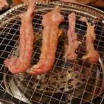 鶏っこ - 