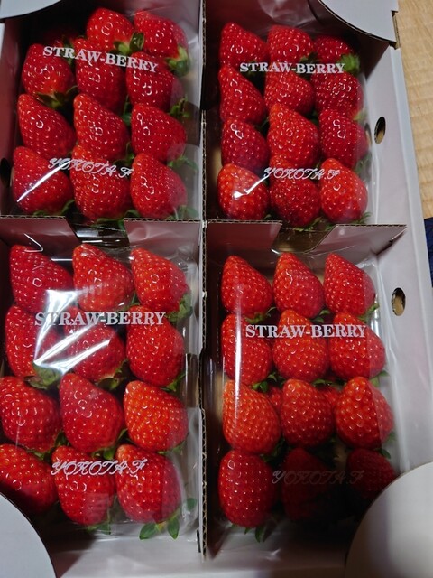 横田農園 - 川東（その他）の写真