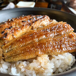 うなぎ料理 丑松 - 特上うな丼