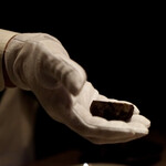 USHIGORO S. - 黒トリュフ