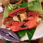 舟蔵の里 - こんな感じで・