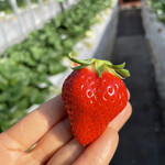 姫路ハートフル観光農園 - 