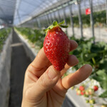 姫路ハートフル観光農園 - 