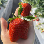 姫路ハートフル観光農園 - 