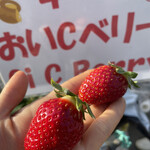 姫路ハートフル観光農園 - 