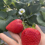 姫路ハートフル観光農園 - 