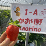 姫路ハートフル観光農園 - 