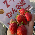 姫路ハートフル観光農園 - 