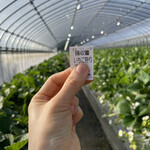 姫路ハートフル観光農園 - 