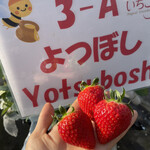 姫路ハートフル観光農園 - 