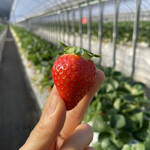 姫路ハートフル観光農園 - 