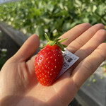 姫路ハートフル観光農園 - 