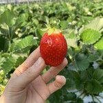 姫路ハートフル観光農園 - 