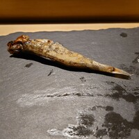 SUSHI TOKYO TEN、 新宿店 - 