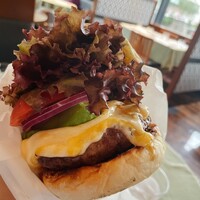 37 Steakhouse & Bar - 