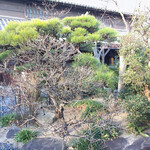 うどん本陣 山田家 - 黄緑の葉や、花が色づいたり
      季節ごとに風景が変わります