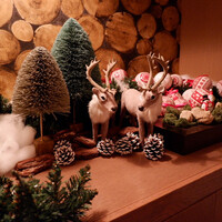 Terres de Truffes, Tokyo - 